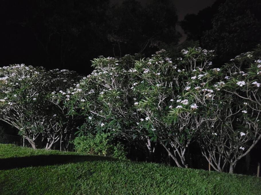 Chacara Dos Sonhos Em Mairipora Villa Eksteriør bilde